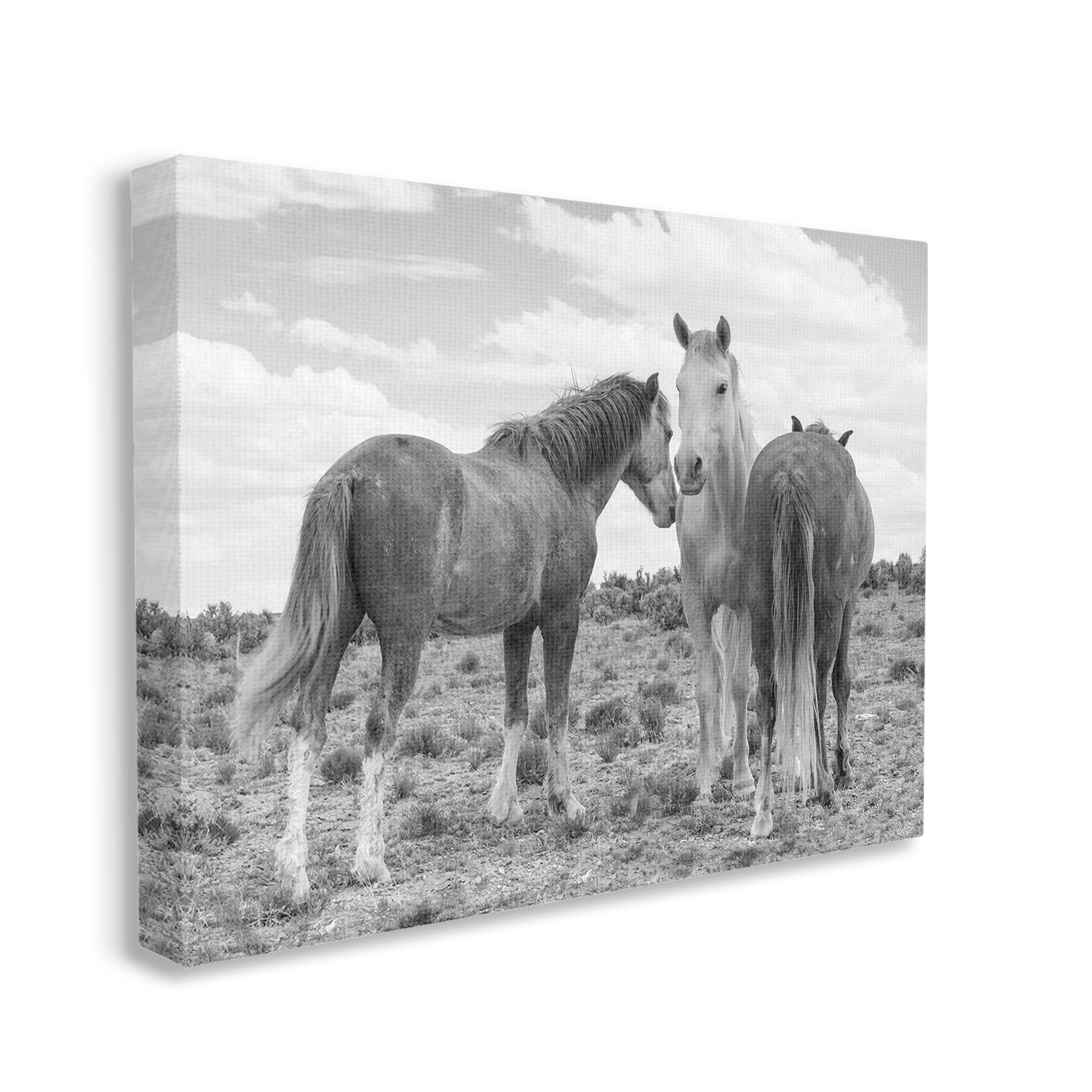 Stupell Industries Horse Trio in Desert Animals & Insects Photography Gallery Wrapped Canvas Art Print Wall Art, 48 x 36