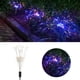 thumbnail image 2 of Luces LED para exteriores impermeables con pinchos para paisajes, para una decoración vibrante, luces solares de fuegos artificiales coloridas para jardín, 2 of 8