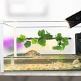 thumbnail image 4 of SOPOTUTU 2Pcs Flexible Jungle Climbing Branch Artificial Terrarium Plants for Lizard Tank, 4 of 8