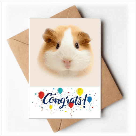 Hamster Pet Brown Hair Art Deco Fashion Wedding Cards Congratulations Greeting Envelopes