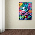 thumbnail image 3 of Trademark Fine Art 'Punk' Canvas Art by Abstract Graffiti, 3 of 3
