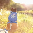 thumbnail image 4 of Shisuyan Accessoires pour Chat Laisse Bleue Nylon Lot de 1 Activités Extérieures, 4 of 9