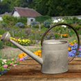 thumbnail image 2 of National Arbre GAWC30-18Z 18 Po Arrosoir en Métal - Zinc, 2 of 4