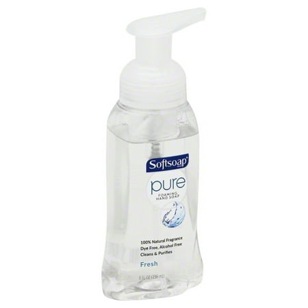 Colgate Palmolive Softsoap  Hand Soap, 8 oz (Best Liquid Hand Soap For Dry Hands)