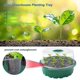 thumbnail image 2 of Auspicious-5 Piezas Bandeja de plántulas de 13 células Mini Invernadero Huerto Bandeja de Cultivo de plástico Kit de germinación de Semillas con Tapa y ventilación para Ind, 2 of 5