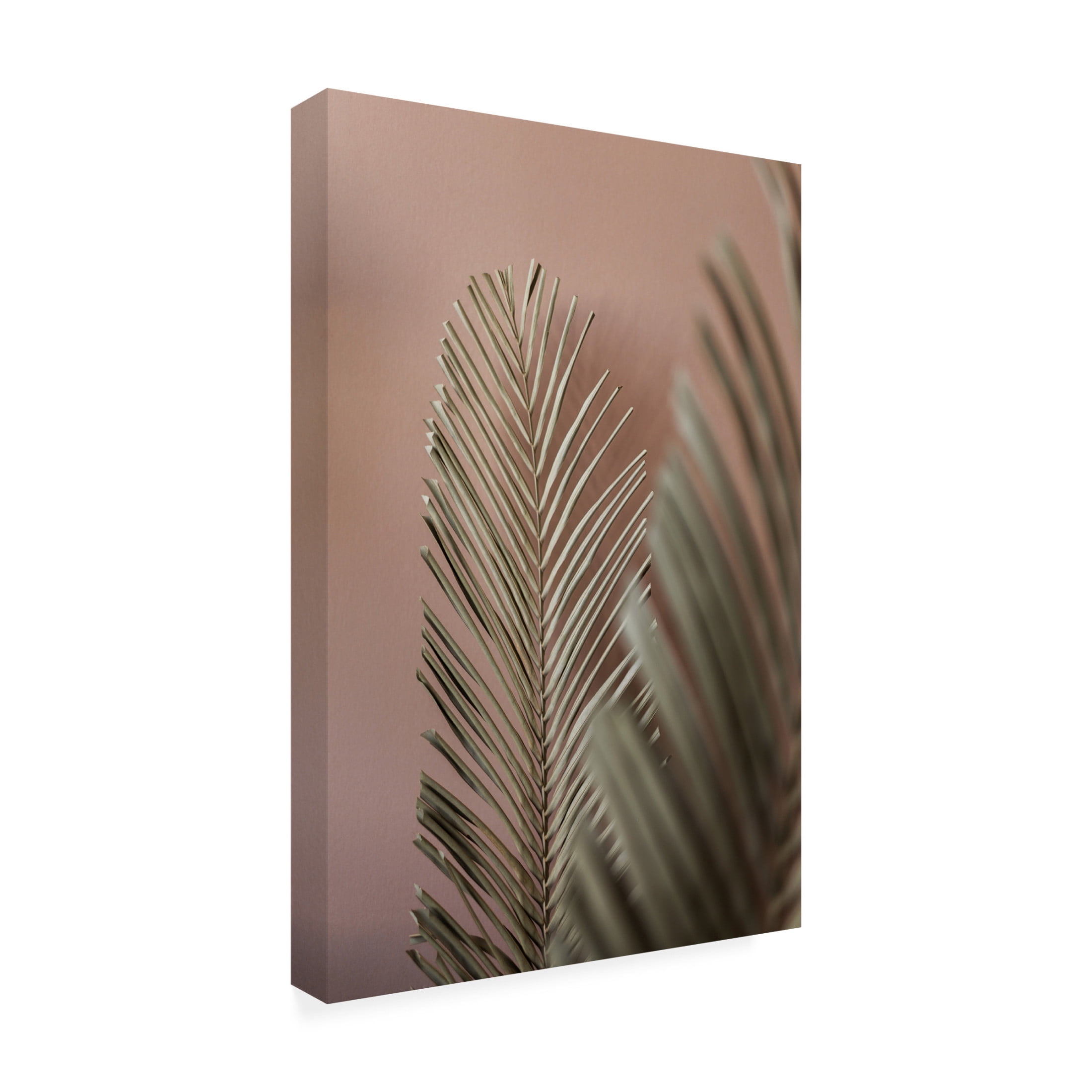 Trademark Fine Art Mareike Bohmer Last Summer 25 Canvas Wall Art