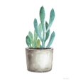 thumbnail image 2 of Art.com Mixed Greens Succulent V Art Print, 18" x 24", 2 of 4