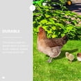 thumbnail image 4 of unbranded 5Ud Ornamentación Para Jardín Y Patio Con Estacas Acrílicas Decorativas De Gallina, 4 of 8