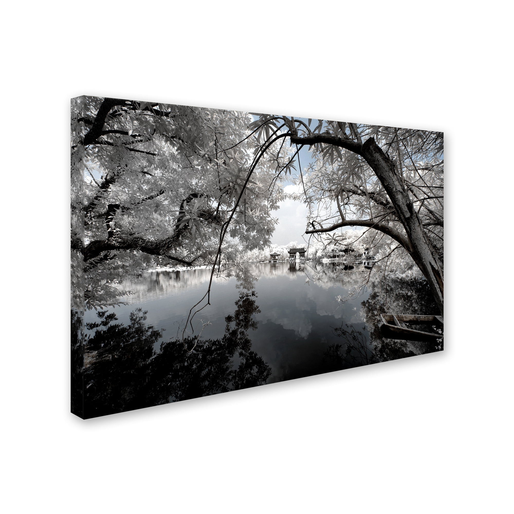 Trademark Fine Art "White Foliage" Canvas Art by Philippe Hugonnard