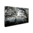 thumbnail image 2 of Trademark Fine Art "White Foliage" Canvas Art by Philippe Hugonnard, 2 of 3