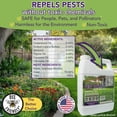 thumbnail image 4 of OURDOOR PEST CONTROL CONCENTRATE, 4 of 8