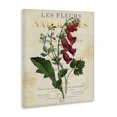 thumbnail image 2 of Stupell Industries Traditional Flower over Aged French Page Canvas Art, 30 x 40, by Susan Arnot, 2 of 7