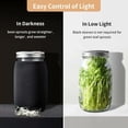 thumbnail image 3 of Sprouting Kit, Versatile Seeds & Easy Sprouting: Grow Healthy Broccoli, Alfalfa Seeds, Mung Beans in Stainless Steel Stand, Complete Jar Set for Your Kitchen Counter, 3 of 6