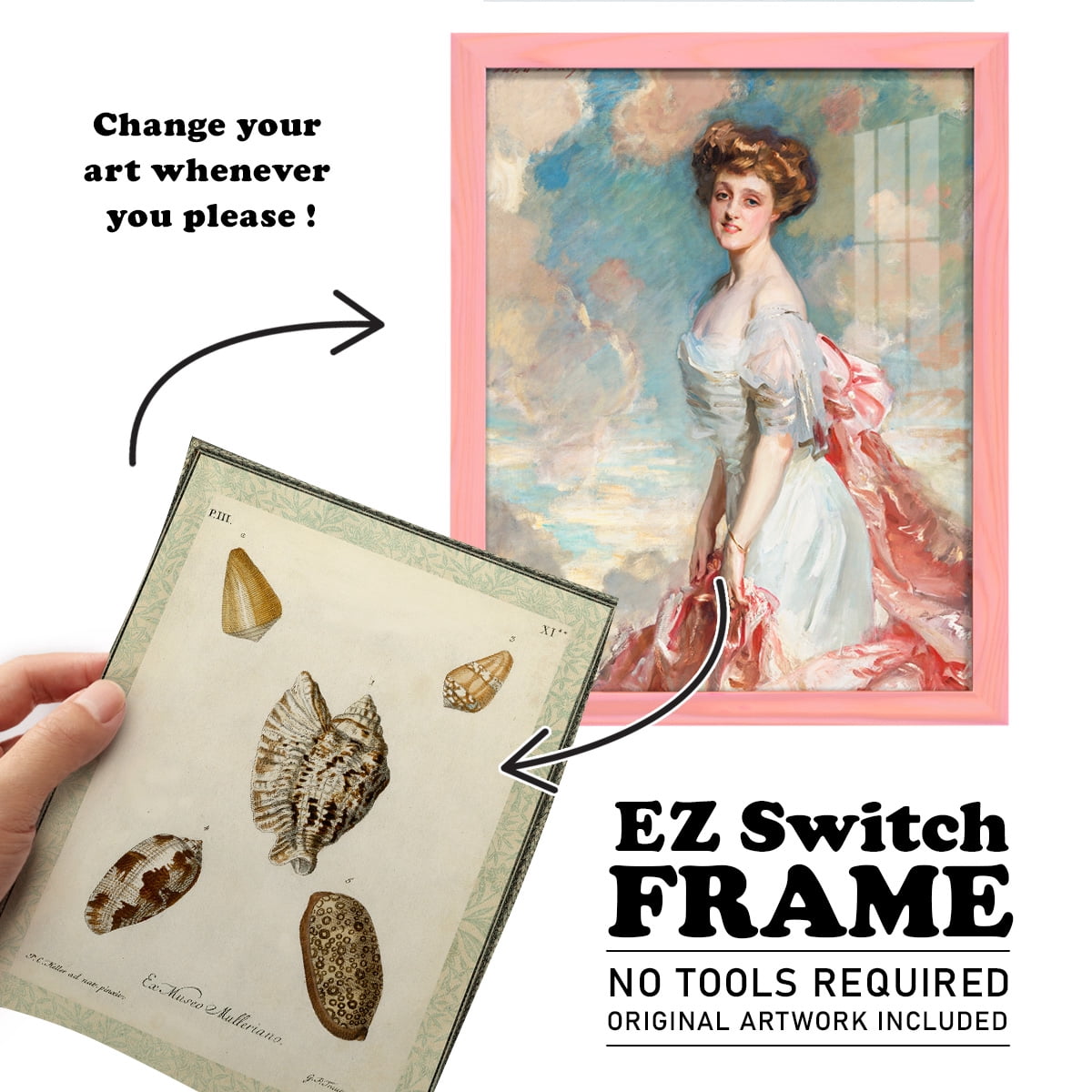 Bookplate Shells II - Framed Print w/glass - Sunset Pink