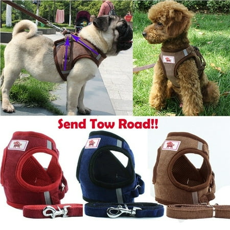 Breathable Air Mesh Small Dog Harness Leash Set Pet Puppy Vest for Walking