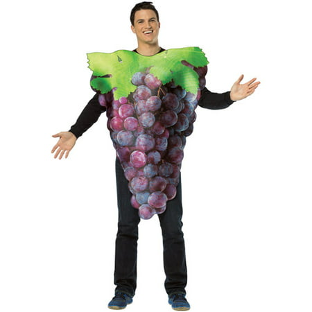 Get Real Bunch Of Purple Grapes Adult Halloween Costume - One