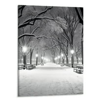 Shiartex Art Modern Beautiful Winter Canvas Wall Art Picture 16x20in for Living Room Bedroom 16x20in