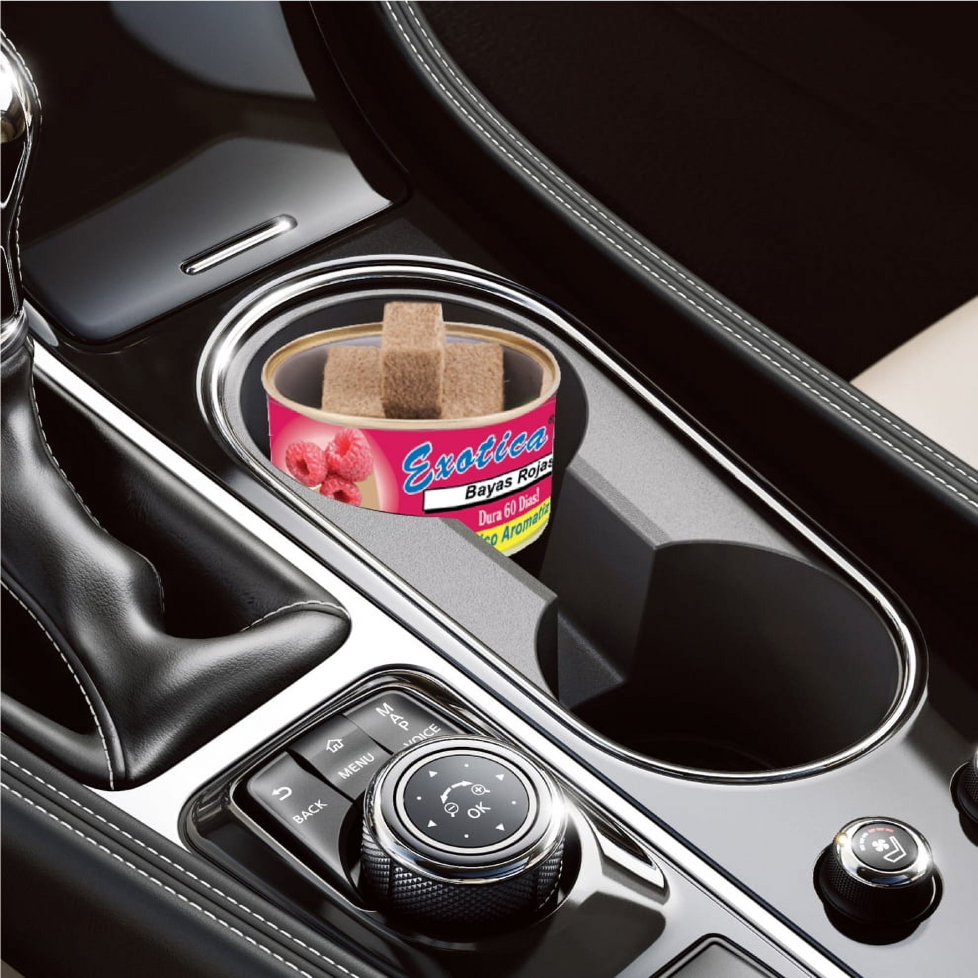 Exotica Car Air Freshener | Spill-proof Can | Organic | For Home & Auto | Long Lasting Freshness | (Pack of 12) (Rasberries)