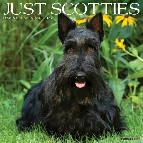 Scotties 2026 Wall Calendar, (Paperback)