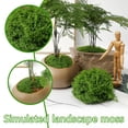 thumbnail image 2 of SharkTRUE Gracefulvara Artificial Moss Green DIY Craft Mini Fake Lichen Grass Plant Landscape Decor, 2 of 8