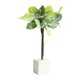 thumbnail image 2 of Casa de muñecas CUTICAT miniatura 1:12 decoración bonsai juguetes, 2 of 8