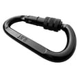 thumbnail image 2 of M&M Sales Enterprises Cast Steel Locking Carabiner Swing Accessory, 2 of 5