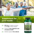 Swanson Turmeric and Black Pepper Vegetable Capsules, 600 mg, 60 Count
