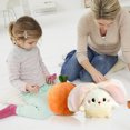 thumbnail image 4 of C Large Persimmon Success Rabbit Plush Toy, 14 Inches Stuffed Doll Fruit Transform, Soft Material Collectible, 4 of 5