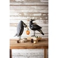 thumbnail image 4 of GwG Outlet Recycled Iron Crows Holding A Pumpkin, Set of 2, Black, 4 of 4