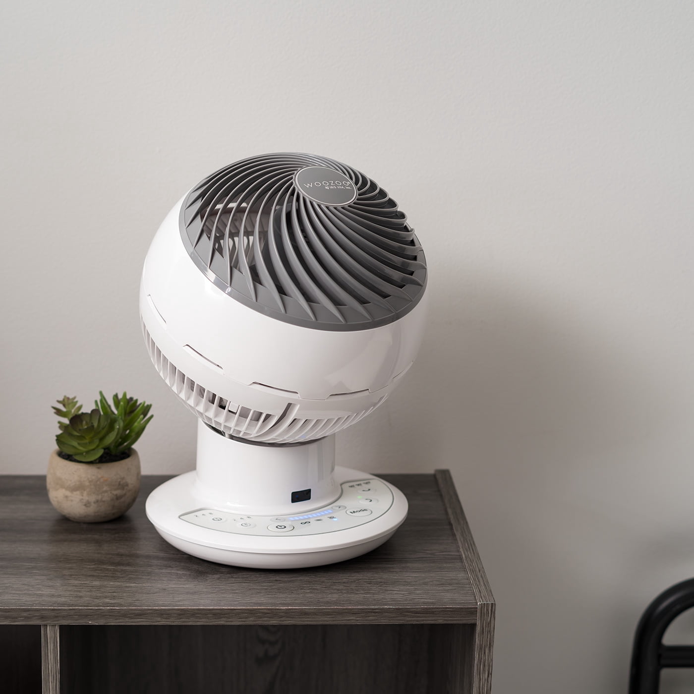 IRIS WOOZOO Fan with Remote, Oscillating Fan, Desk Fan, Table Air Circulator, Globe Fan, Fan for Bedroom, 10 Speeds