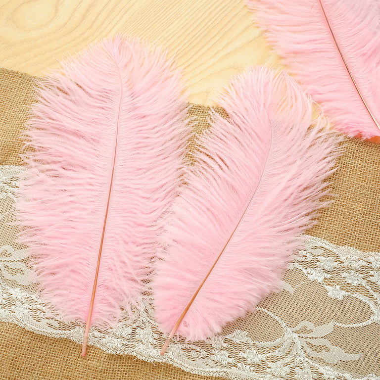 10pc Big Dyed Pink Ostrich Feathers Plume Home Centerpiece Wedding Decor  Craft
