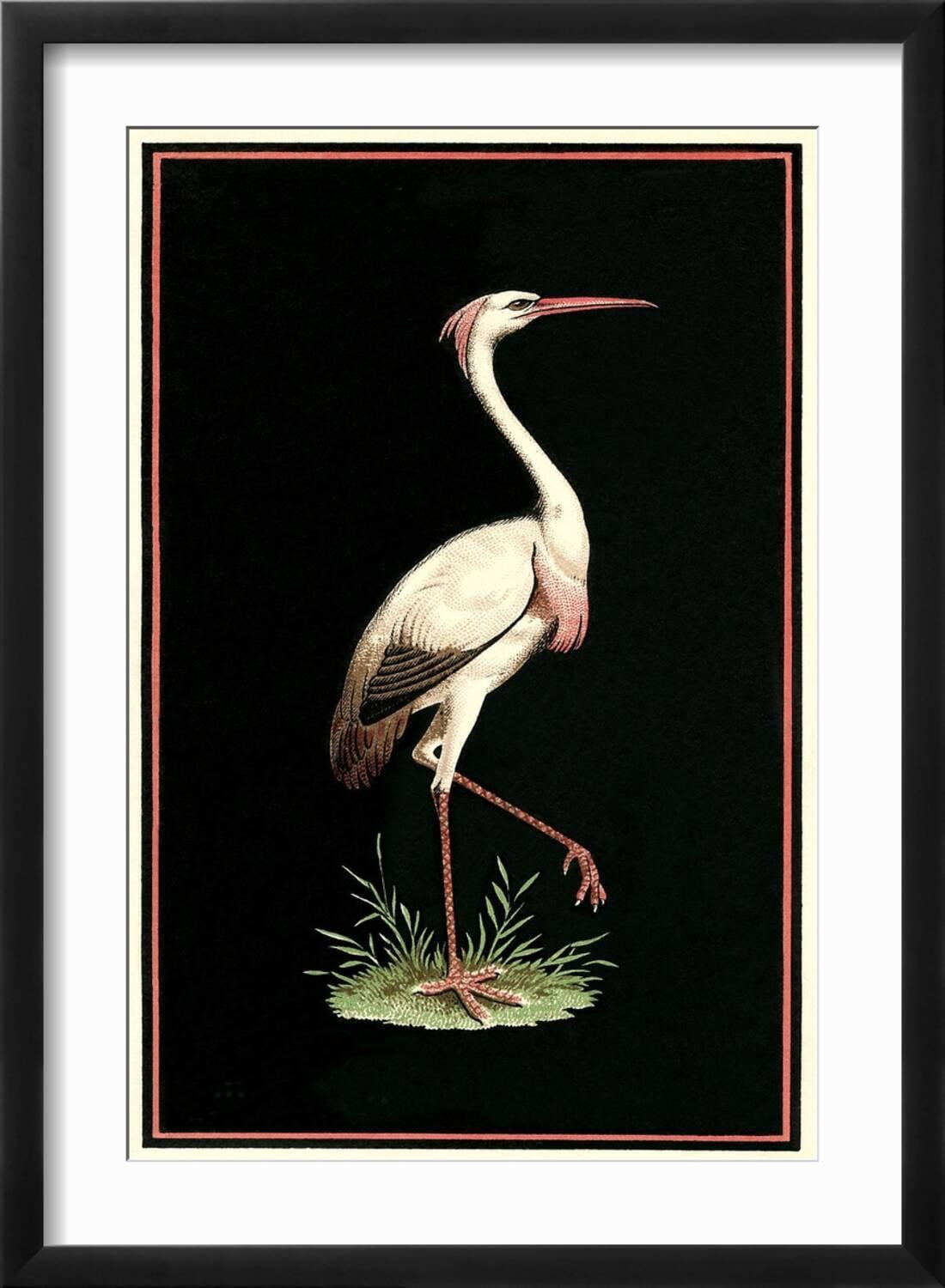 Art.com Crane on Black Background Art Print, Black Frame Wall Art, 17" x 23"