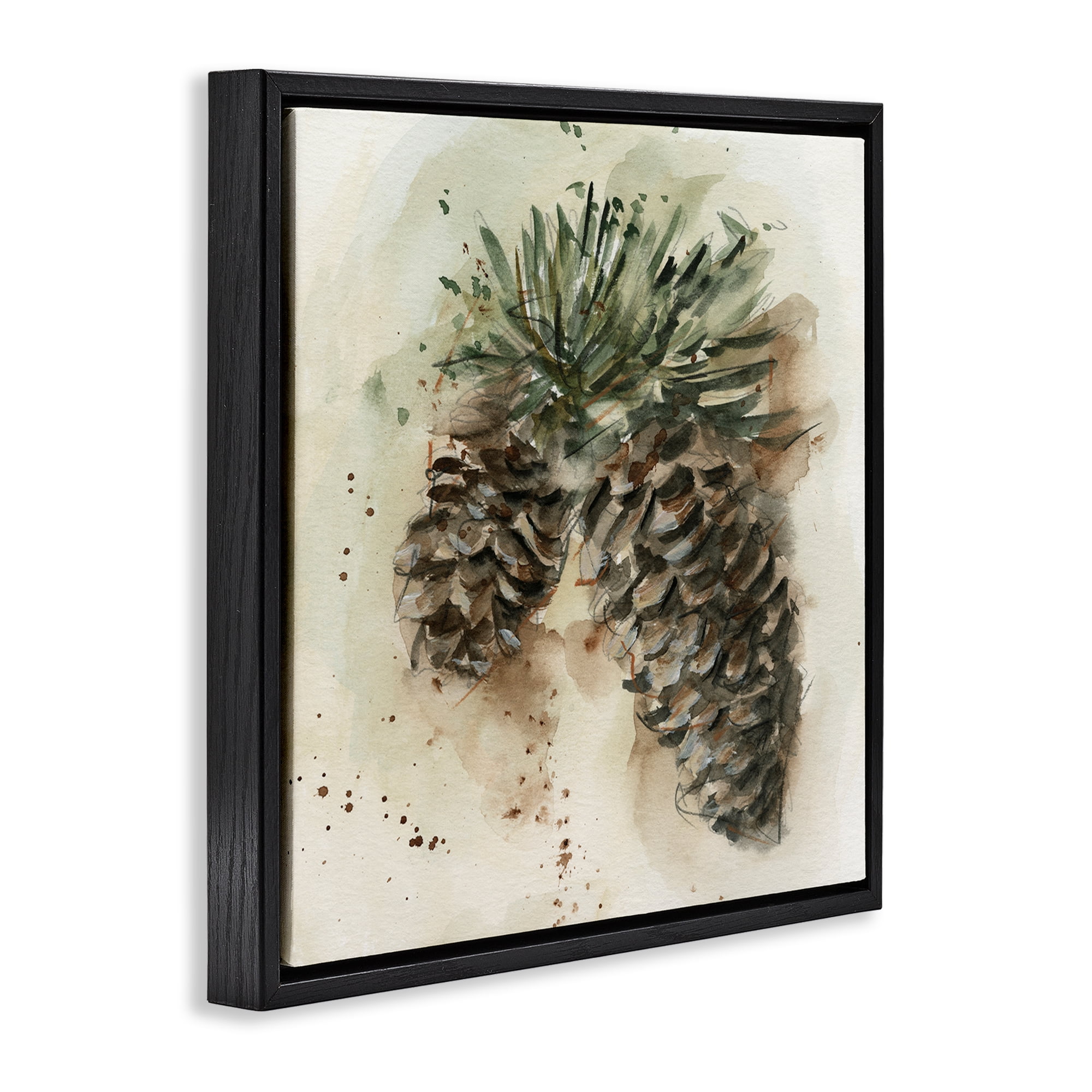 Stupell Industries Pine Cone Watercolor Plants & Flowers Painting Black Floater Framed Canvas Art Print Wall Art, 25 x 25