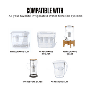 Invigorated Water PH001 Ultra Alkaline Water Filter, 96 Gallons, Multi-Stage Filtration, 1-Pack
