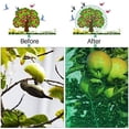 thumbnail image 5 of Nvzi Red de protección antipájaros, red para plantas de jardín,verduras, frutas y arbustos con cable reutilizable y clavijas de jardín en forma de U, 5 of 5