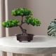 thumbnail image 5 of Planta en maceta falsa decorativa del mostrador de la tabla del escritorio de la oficina del hogar del árbol en maceta artificial de 2 niveles Inevent HA7256-00B, 5 of 7