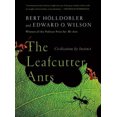 thumbnail image 2 of Les Fourmis Coupeuses de Feuilles, Civilisation par Instinct, 2 of 2