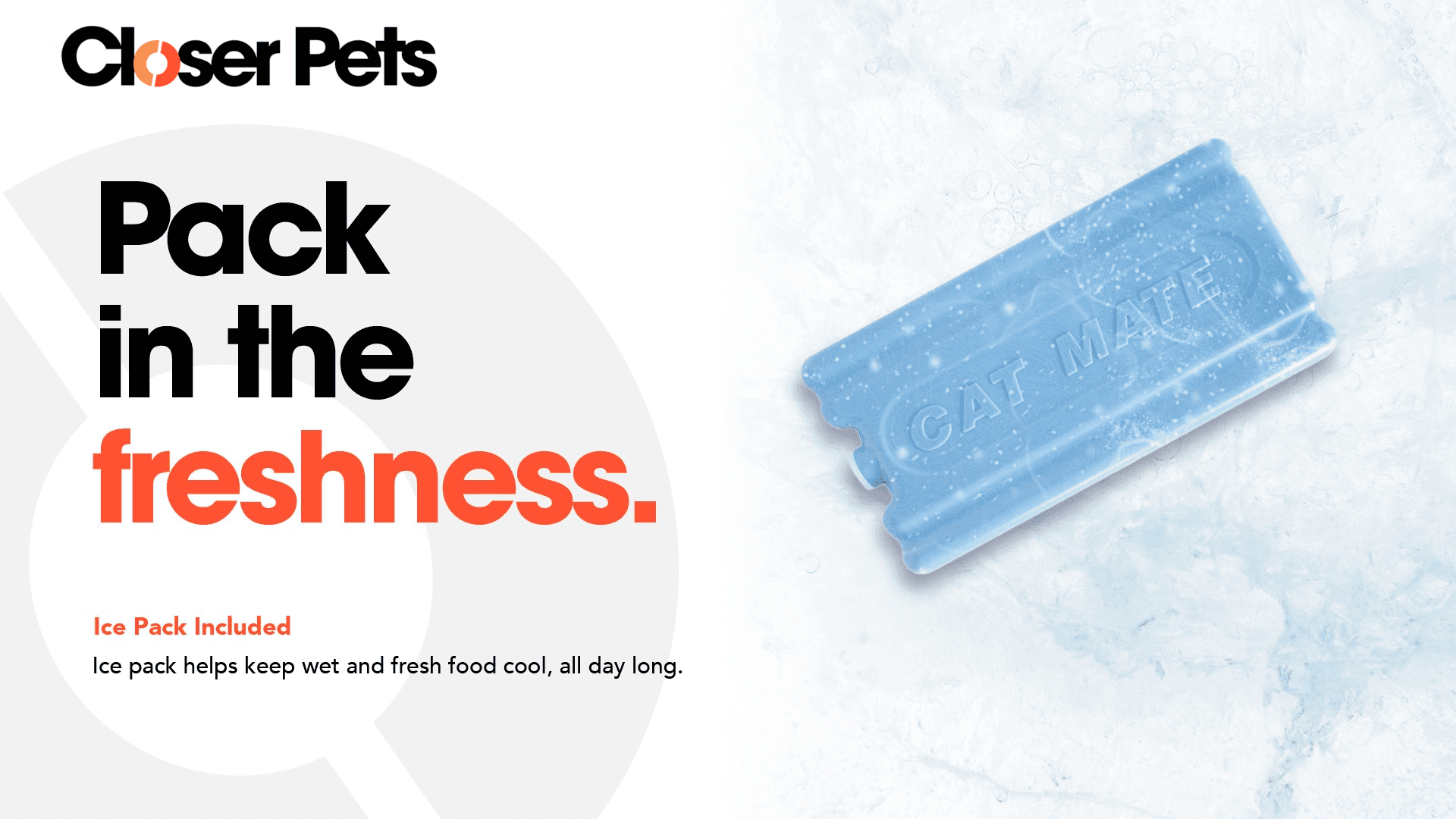 Closer Pets Two-Meal Automatic Pet Feeder – 48-Hour Timer, Dual Stainless-Steel Bowls, Ice Pack for Freshness, Dishwasher-Safe, White