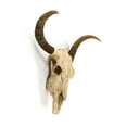 thumbnail image 3 of Zentique SHI032 Bull Skull Wall Decor- 30.5 x 27 x 11.5 in., 3 of 3