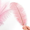 thumbnail image 4 of 10 Pack Natural Ostrich Feathers, 10-12 in (25-30cm) Crafts DIY Plume Feather for Centerpieces Home Wedding Party Table Decoration - Pink, 4 of 7