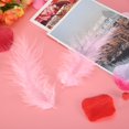 thumbnail image 2 of Perfect for Weddings, Parties & Home Accent 300 Pink Feathers for Creative Crafts & Event Décor, 2 of 7