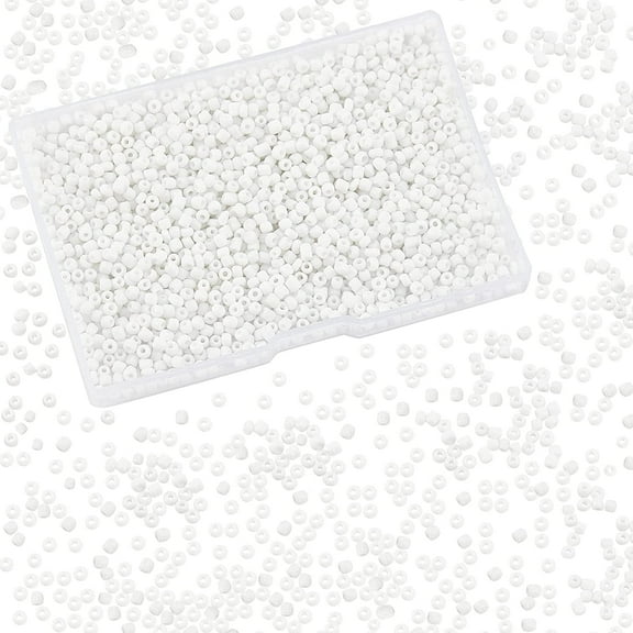 White Seed Beads 2000 Pcs 3mm 8/0 Glass Seed Beads Round Small Pony Bead Waist Beads Mini Spacer Beads for Earring Bracelet Necklace Anklet Jewelry DIY Craft Making