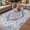 Lake Blue, variant on Sage Green Boho Outdoor Rug for Patio/Deck/Porch, Non-Slip Large Area Rug 3 x 5 Ft, Vintage Abstract Art Ethnic Tribe Indoor Outdoor Rugs Washable Area Rugs, Reversible Camping Rug Carpet Runner