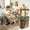 B, variant on Pet Supplies Food Storage Container with Viewing Window Large 2L Sealed Pantry Canister for Kitchen Home Garage Barn Farm Ideal for Rice Porridge and Grains Durable Design