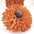 thumbnail image 6 of ANDALUCA Orange Decorative Vase Filler Bag with Mini Pumpkins, Orbs, Balls & Flowers Bowl Filler Decor (Pumpkin Orange), 6 of 7