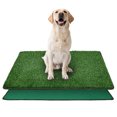 thumbnail image 1 of Tapis d'Entraînement Réutilisables pour Animaux avec Motifs Réalistes pour la Maison et l'Intérieur et l'Extérieur, 1 of 5