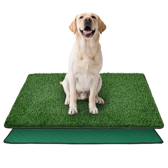 Tapis d'Entraînement Réutilisables pour Animaux avec Motifs Réalistes pour la Maison et l'Intérieur et l'Extérieur