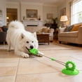 thumbnail image 5 of SIfdSeng Suction Cup Chew for Interactive Teething Puppy Long Lasting Cleaning, 5 of 5