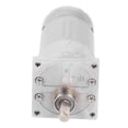 thumbnail image 1 of DC Gear Motor Eccentric Shaft CW CCW Self Locking Brass Coil Speed Reduction Geared Motor DC24V 300RPM, 1 of 5