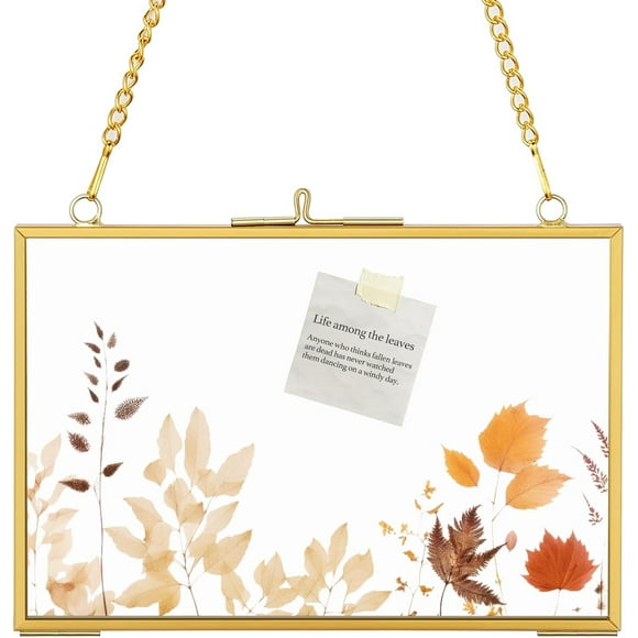 shiyou-4x6 Gold Floating Picture Frames, Double Glass Hanging Frame for Pressed Flower, Vintage Brass Photo Frame with Metal Chain for Wall Mount, Small Horizontal Clear Frame for Artwork Display Gal